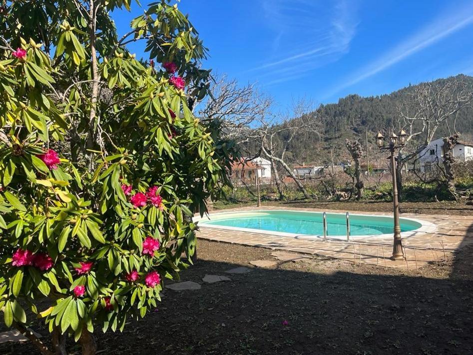 Casa Do Adro-Passadicos Do Paiva Arouca Villa Bagian luar foto